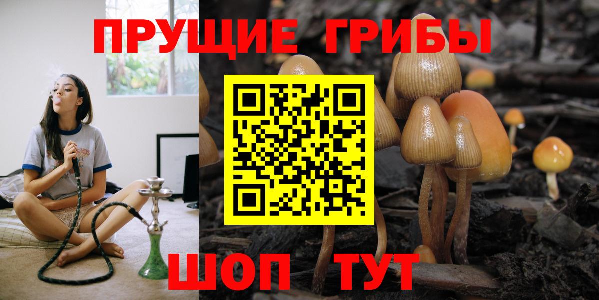 купить наркотик  Вход с VPN  Реж  Псилоцибиновые грибы мицелий 